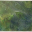 RYBY V S�TI, sprej na pl�tn�, 50x60 cm, 2013