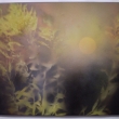 Toulky mlhou, sprej+akryl na pl�tn�, 40x50 cm
