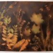 Podzimn� podve�er, (podzimn� listy2), sprej na pl�tn�, 50x60 cm, 2013