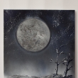 Z M�S�CE NA M�S�C, sprej na pl�tn� 40x50, 2013