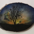 strom,d�ev�n� placka 2014